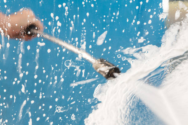 Best House Exterior Washing  in Brownlee Park, MI