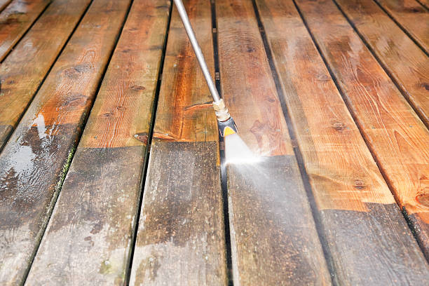 Trusted Brownlee Park, MI Pressure Washing Services Experts